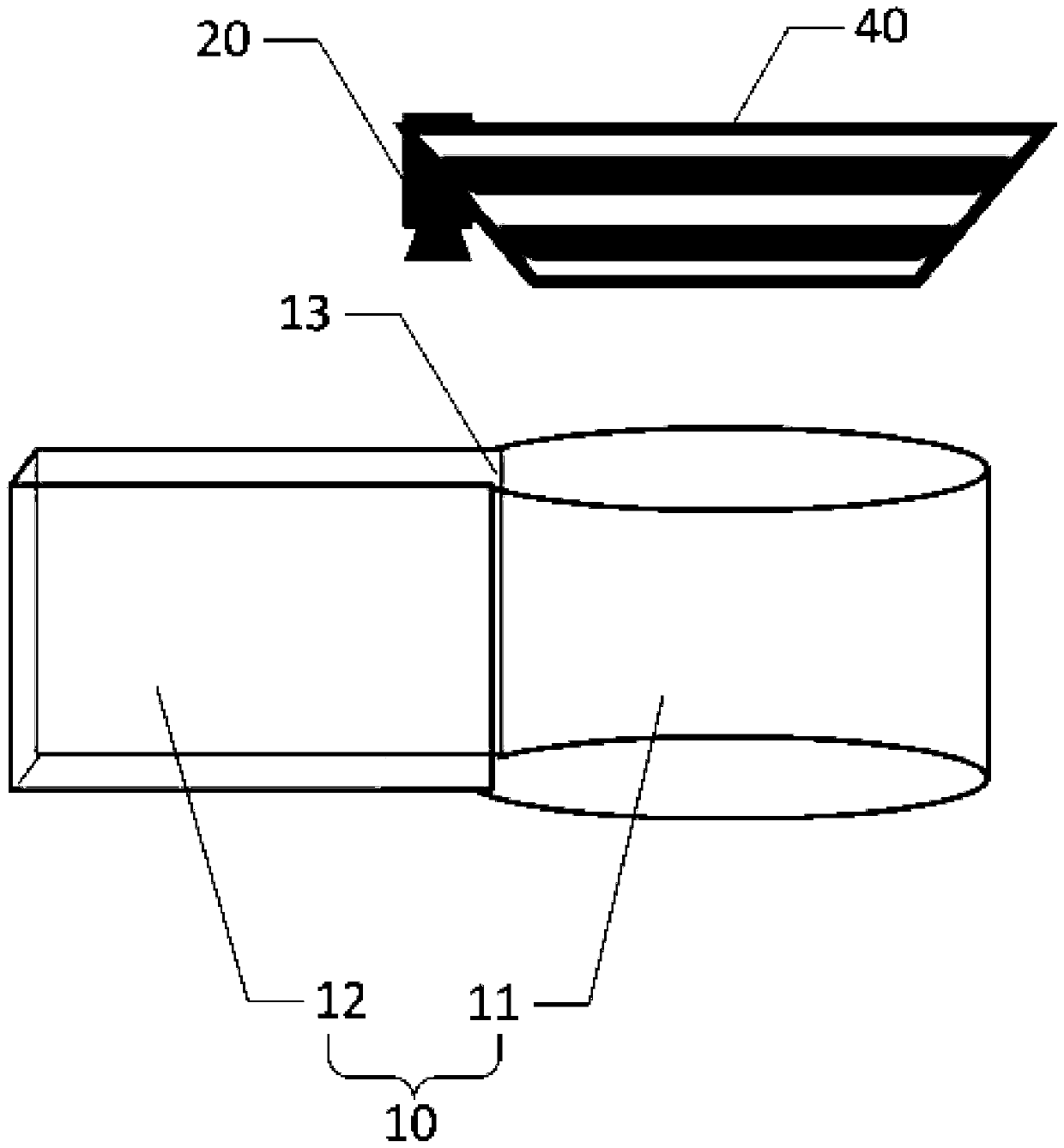 Detection device and method for instinctive fear behavior of animal