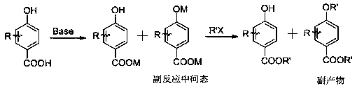 Preparation method for tert-butyl substituted hydroxybenzoate