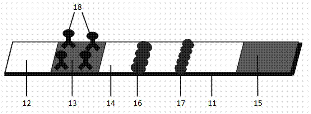 Fluorescent test strip based on resonance energy transfer, and preparation method and application for fluorescent test strip