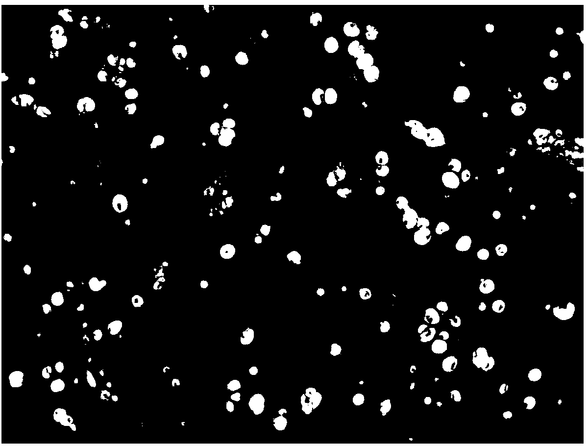 Dual-layer composite scaffold for repairing cartilage of tissue engineered bone and preparation method thereof