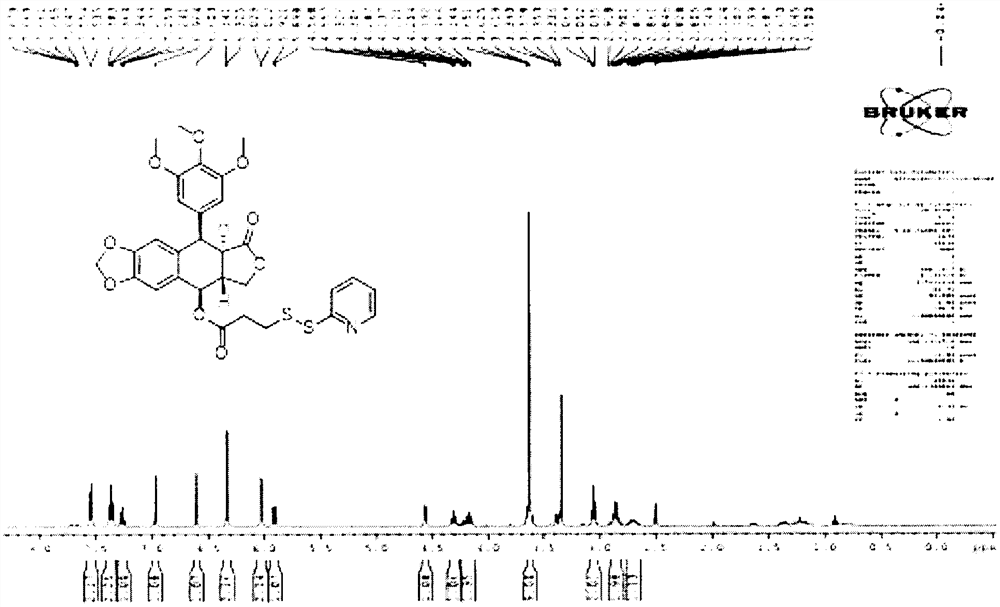 Tumor targeting nano-micelle based on hyaluronic acid as well as preparation and application of tumor targeting nano-micelle