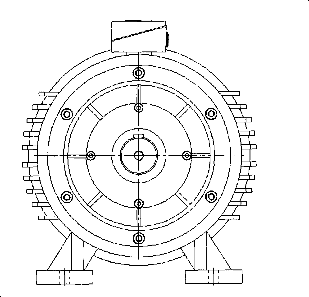 Low-voltage high power multi-branch permanent magnet synchronous motor