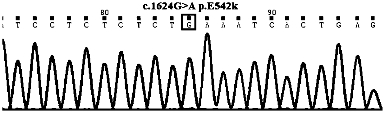 Primer group for detecting PIK3CA gene mutation and application method thereof