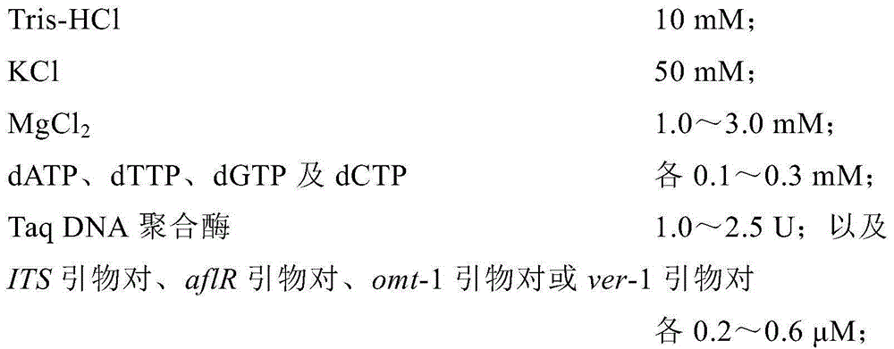 Single PCR detection primer pair group for fungus producing aflatoxin, detection method and application thereof