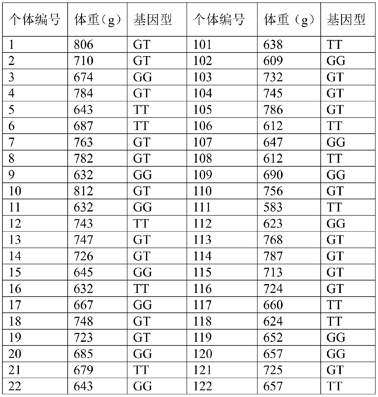 Single nucleotide polymorphism (SNP) marker related to growth speed of basa fish and application of SNP marker