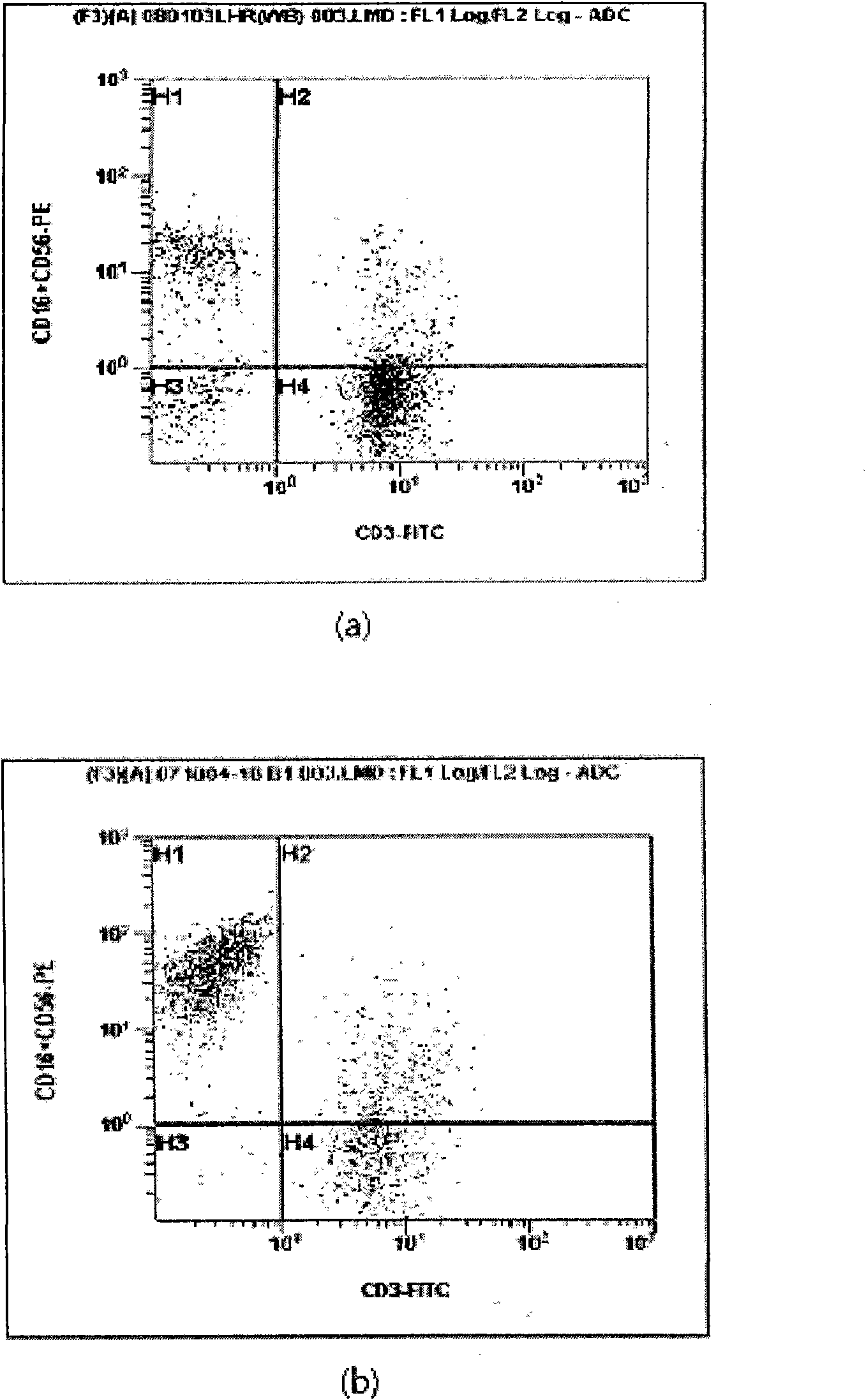 A method for cultivating self activated lymphocyte