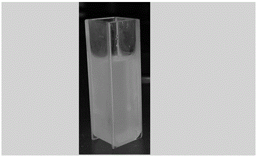 Hydrophilicity modification method of hydroxyapatite single-crystal nanorod