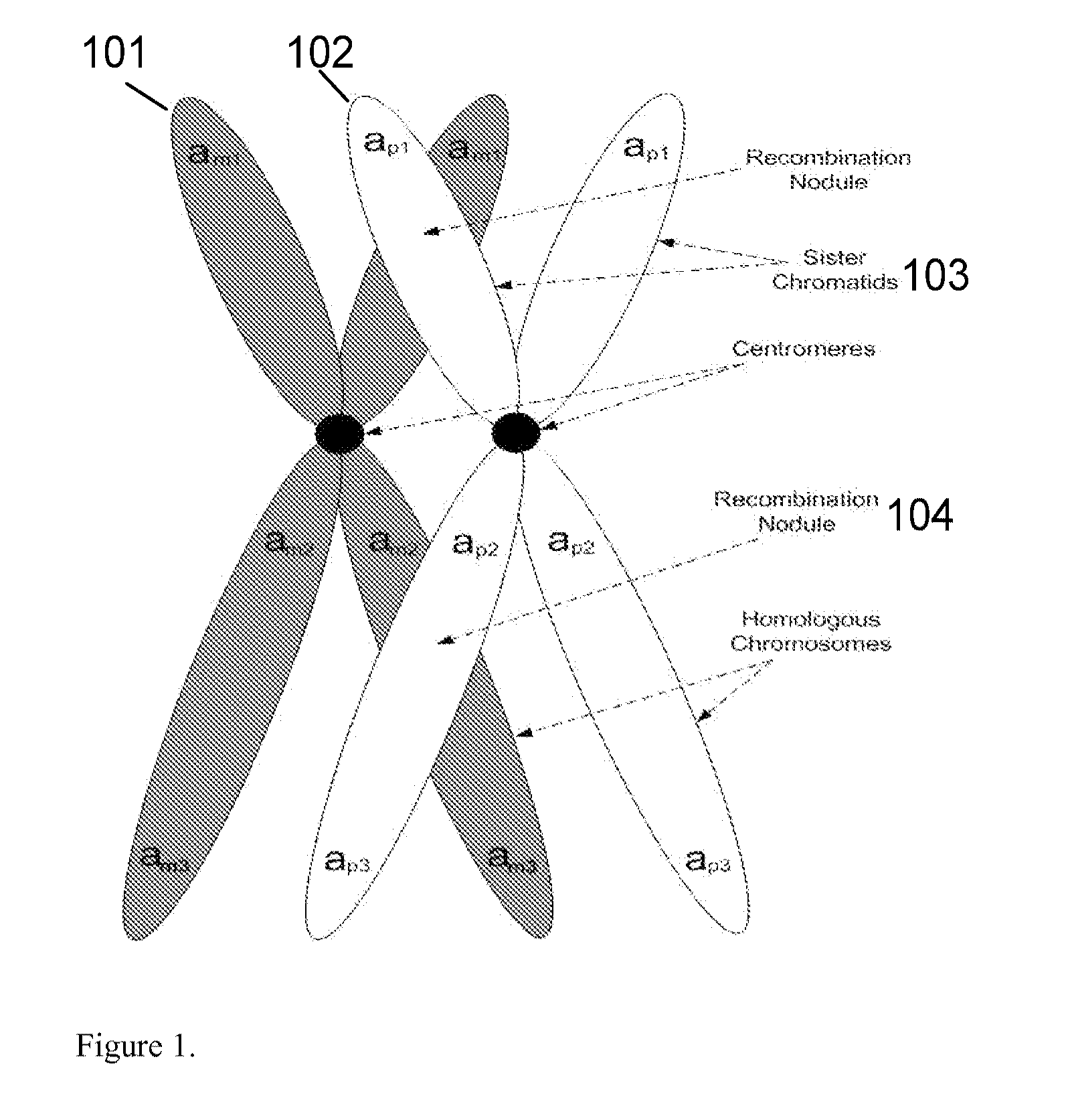 System and method for cleaning noisy genetic data from target individuals using genetic data from genetically related individuals