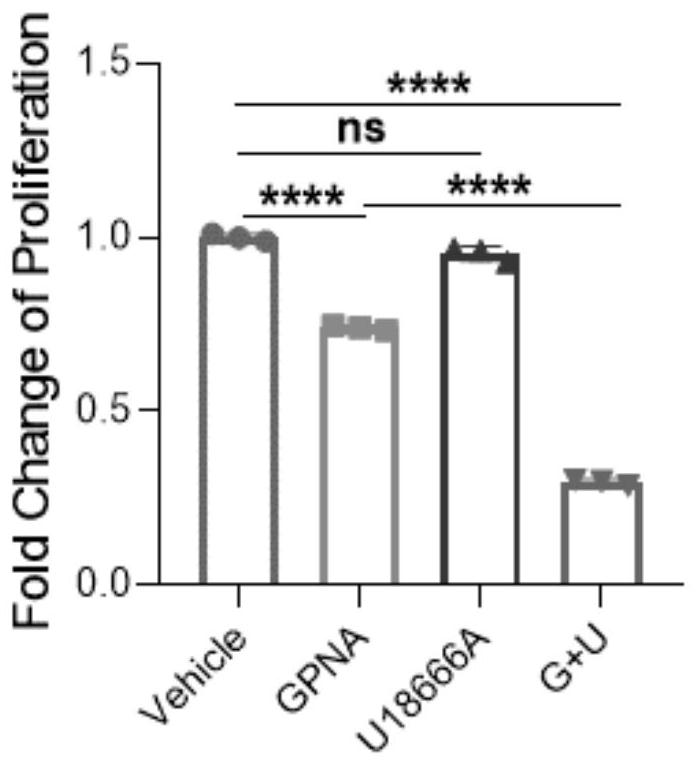 Application of cholesterol transport inhibitor U18666A as sensitizer in preparation of antitumor products