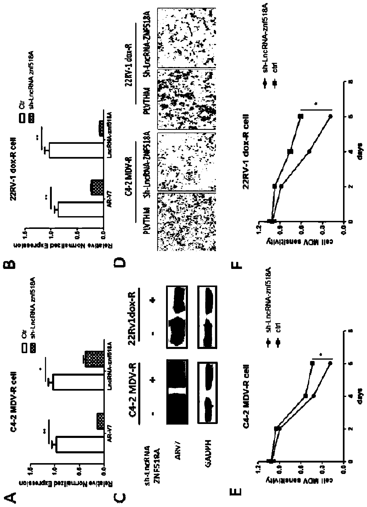 Marker LncRNA ZNF518A for diagnosing castration-resistant prostate cancer and/or performing prognosis assessment, and application of marker LncRNA ZNF518A