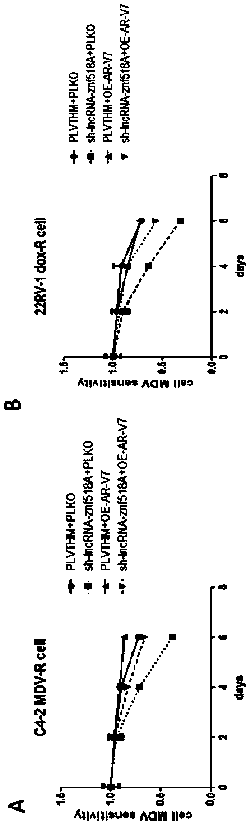 Marker LncRNA ZNF518A for diagnosing castration-resistant prostate cancer and/or performing prognosis assessment, and application of marker LncRNA ZNF518A