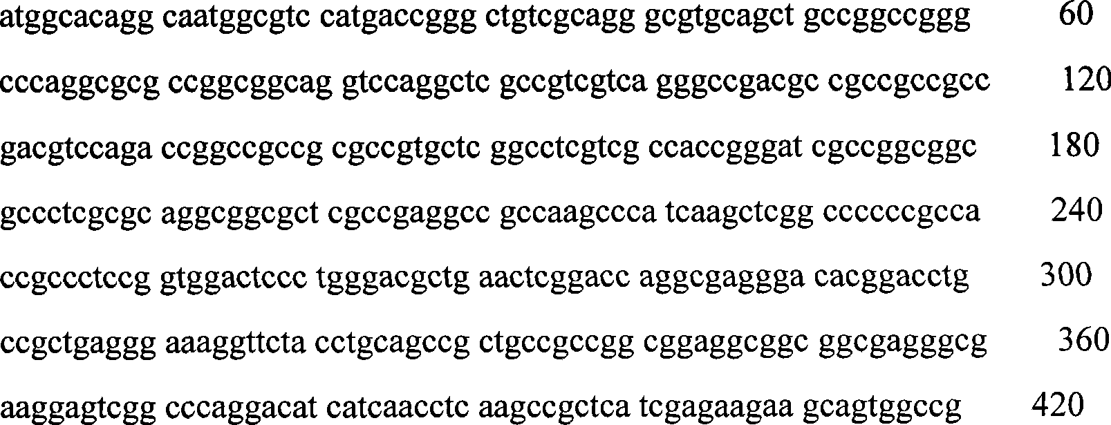 Rice protein OsOEE3-1, encoding gene and application thereof