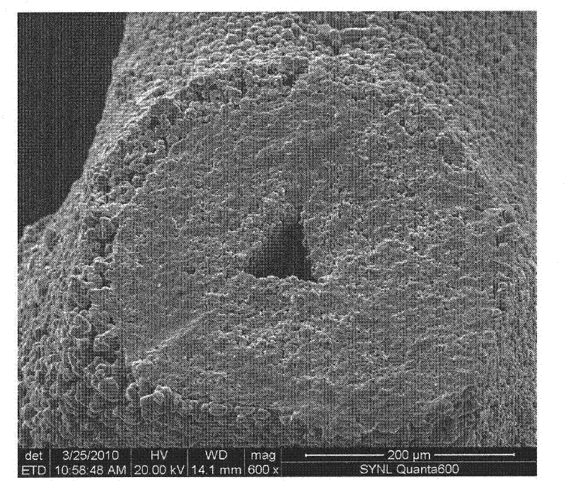 Monolayer, b-axis oriented zsm-5 zeolite coating material on porous silicon carbide surface and its preparation