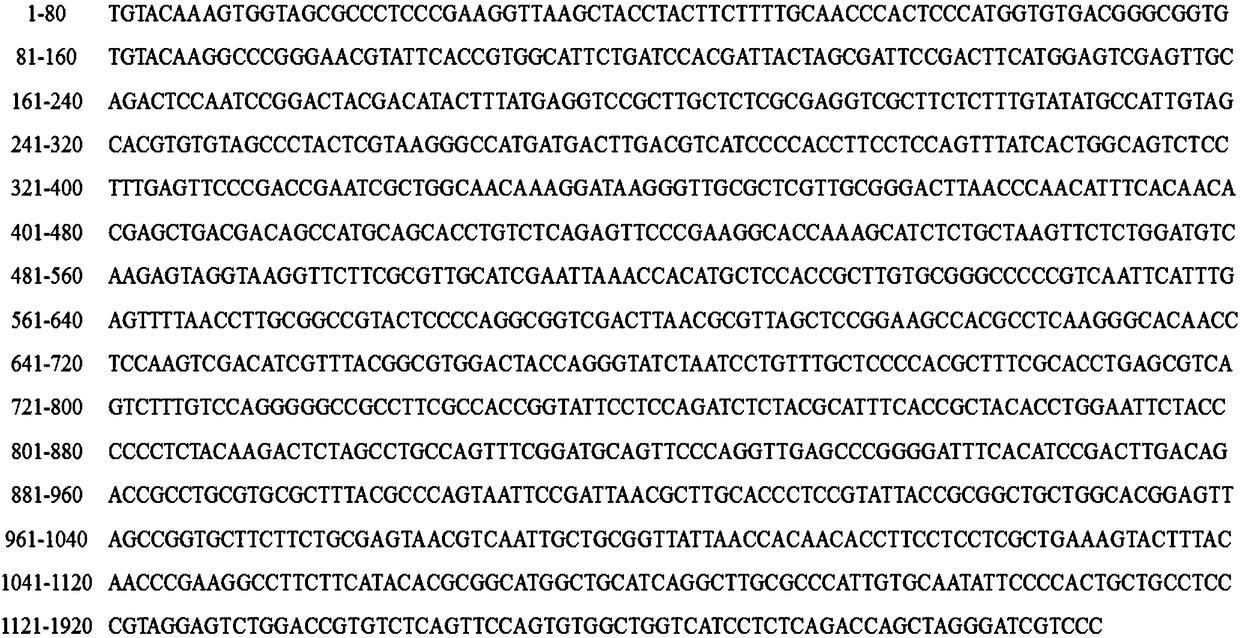 Separation and screening method of trichlorphon degradation strain