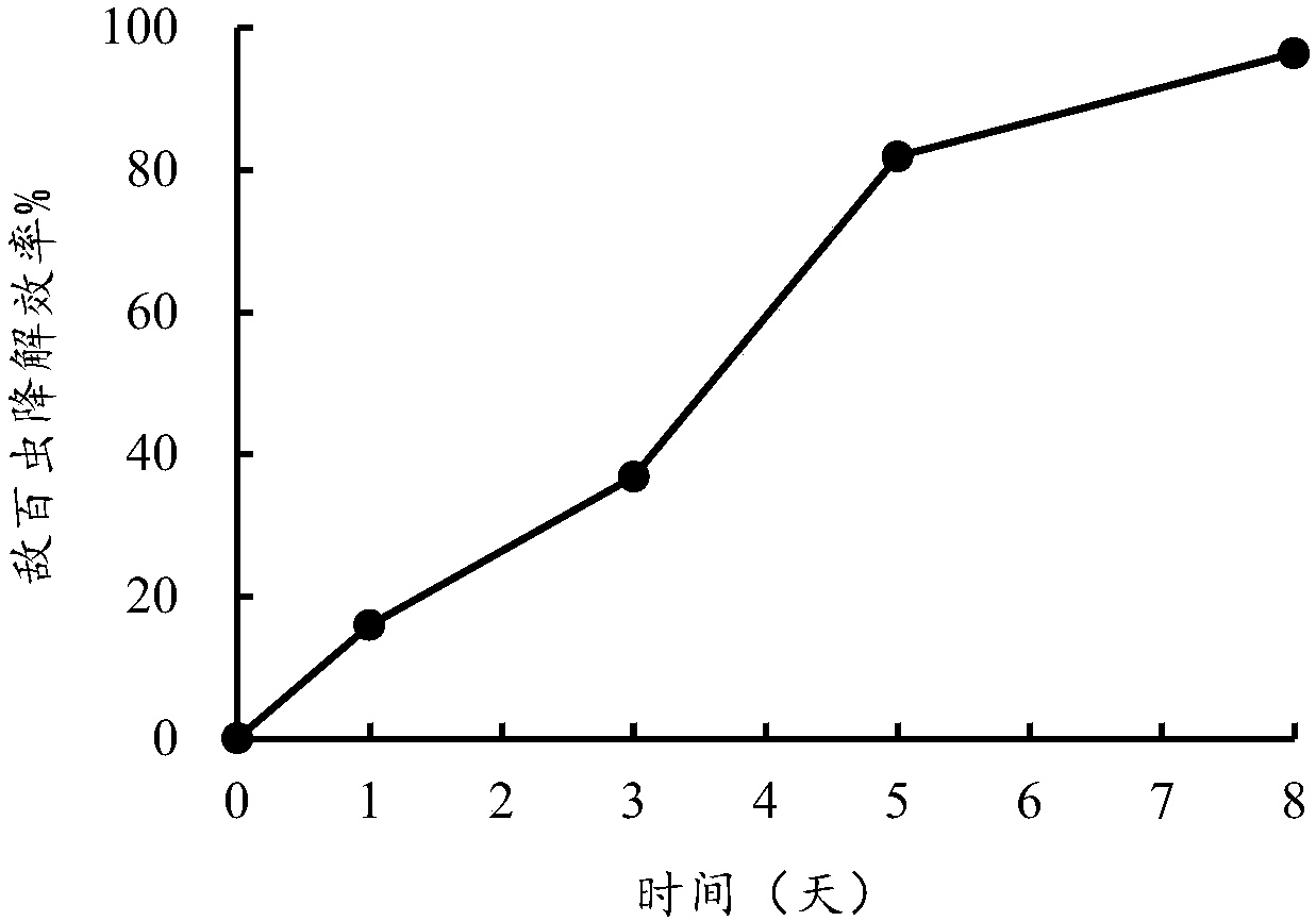 Separation and screening method of trichlorphon degradation strain