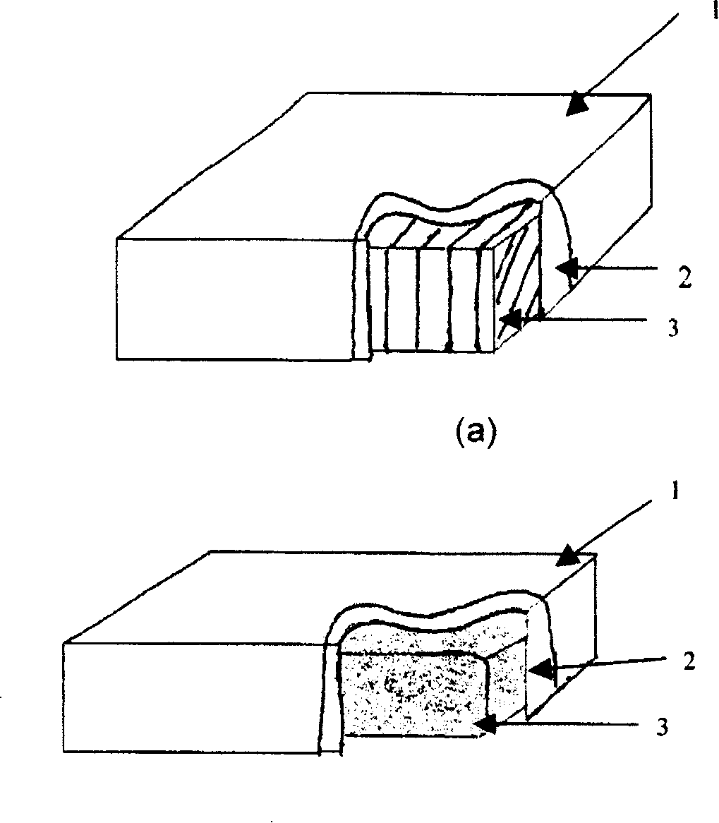 Passive self-adaptive memory cushion and its preparation method