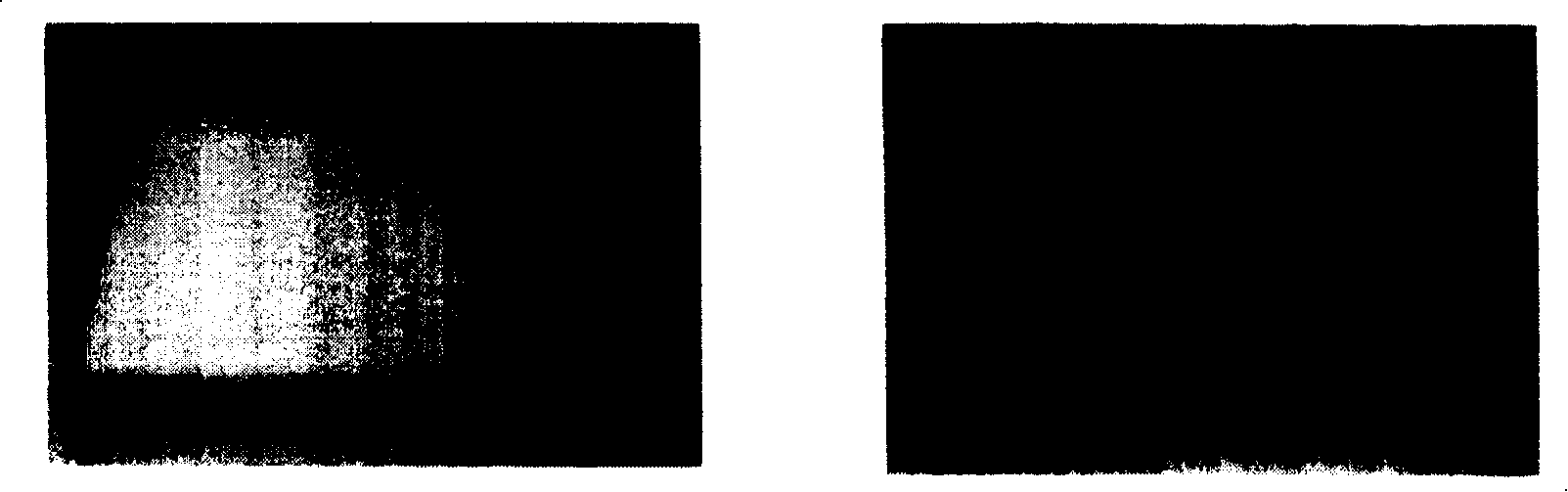 Passive self-adaptive memory cushion and its preparation method