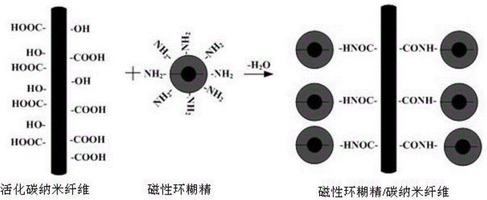 Magnetic cyclodextrin-carbon nanofiber composite material and preparation method thereof