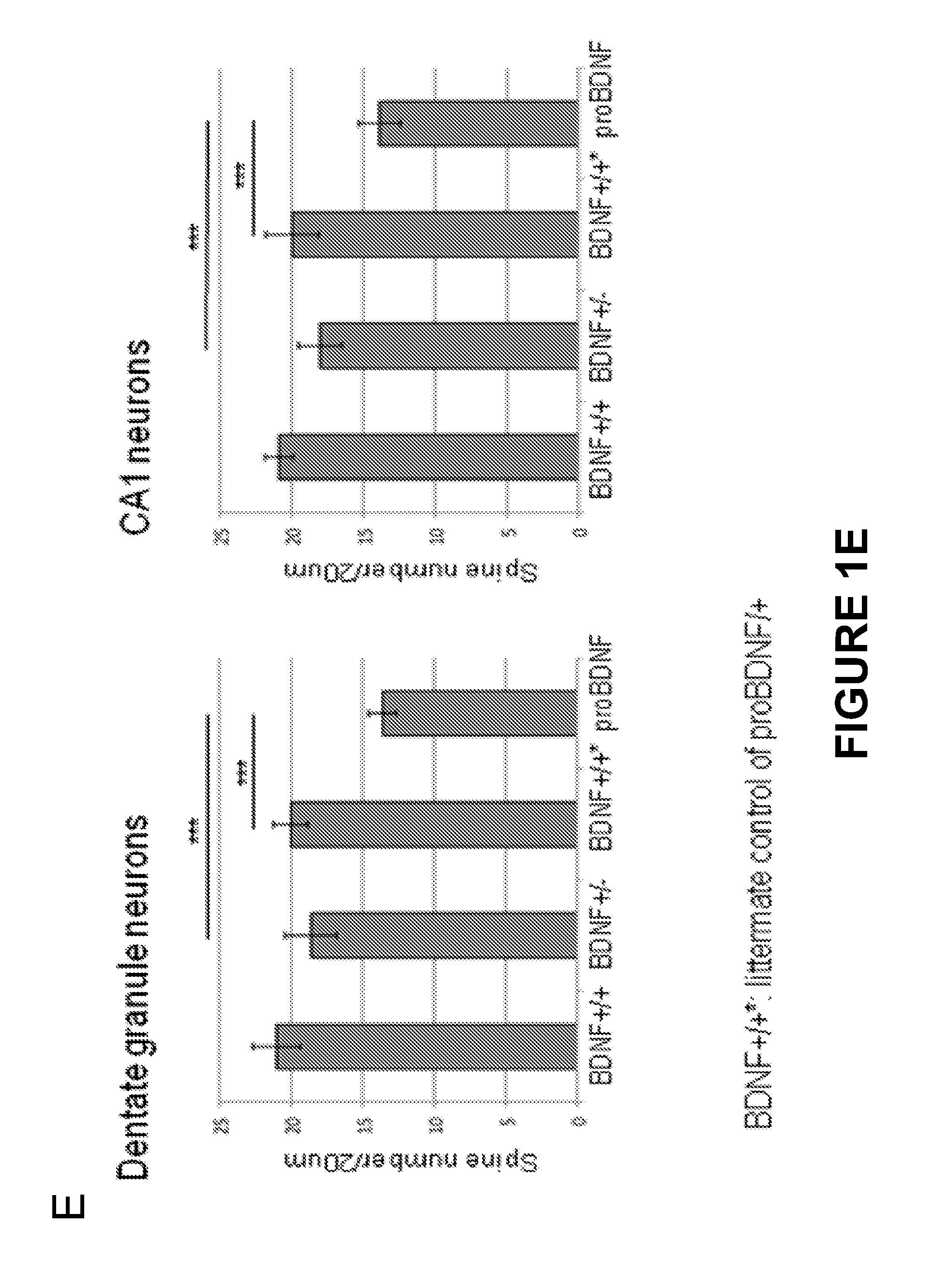 Methods for treating early stage or mild neurological disorders