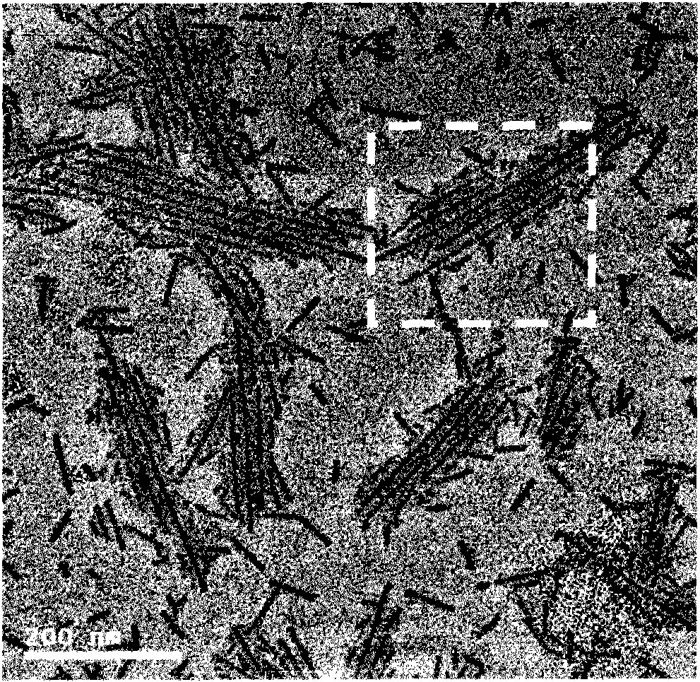 Preparation method of polyoxometallate-polymer hybridized segmented copolymer nanotube