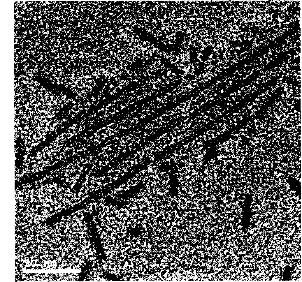 Preparation method of polyoxometallate-polymer hybridized segmented copolymer nanotube