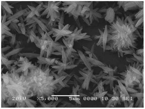 A kind of stable synthetic method of ton zeolite