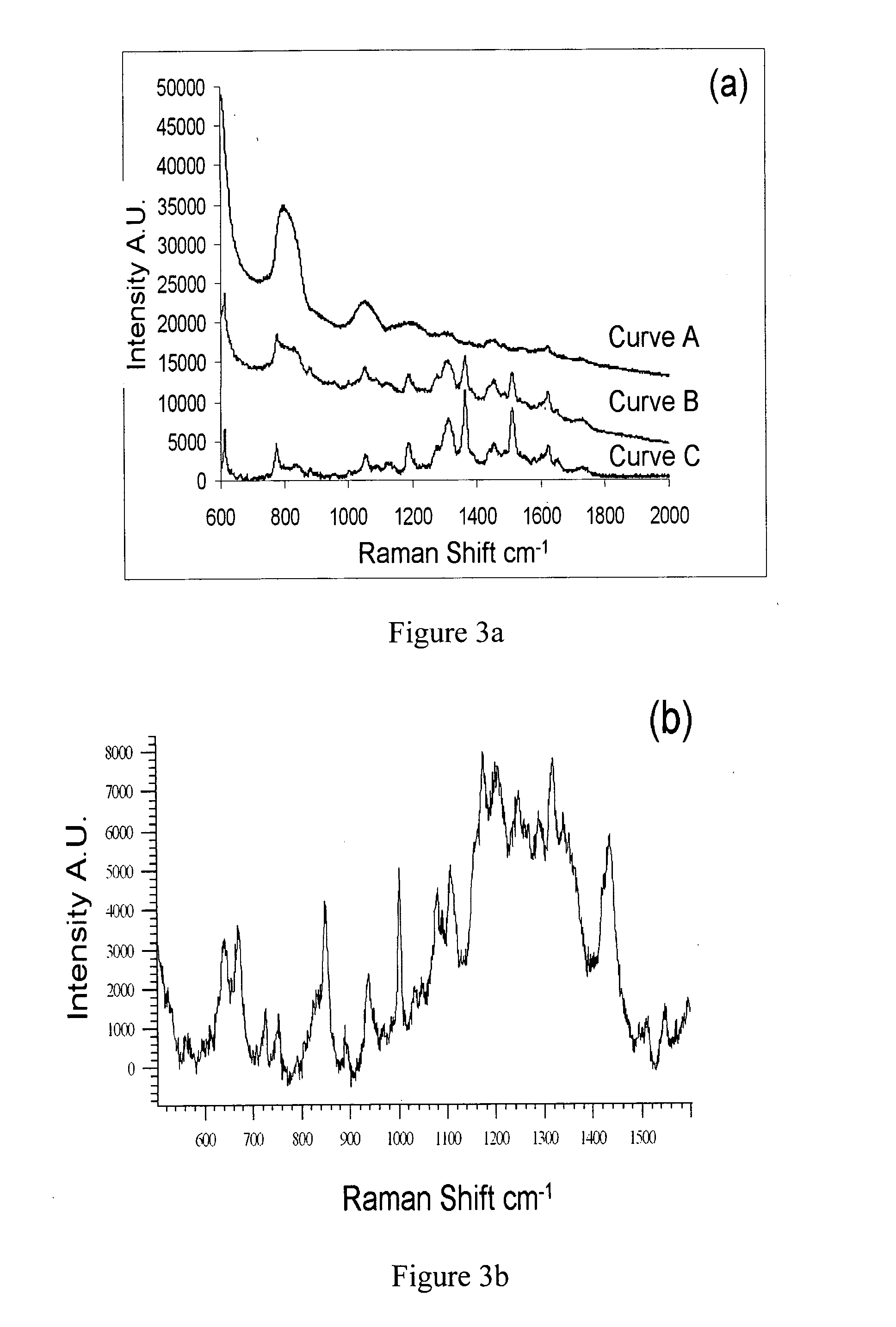 Liquid core photonic crystal fiber biosensors using surface enhanced raman scattering and methods for their use