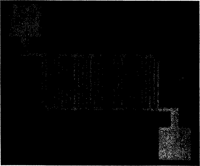 Preparation method of zinc oxide UV photodetector prototype device