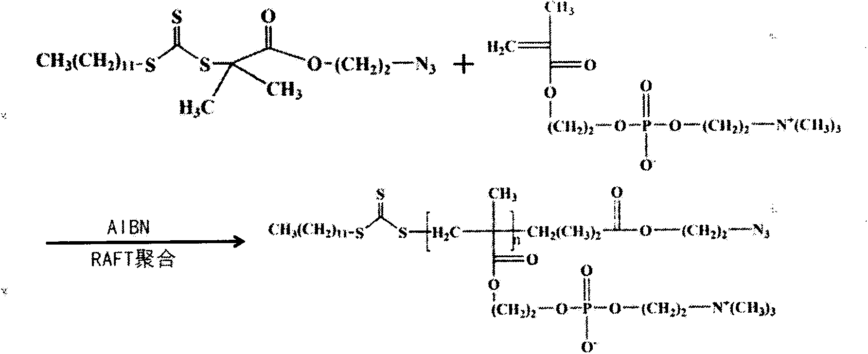 Artificial cell membrane materials applied to photoinduction stem grafting and synthesis method thereof