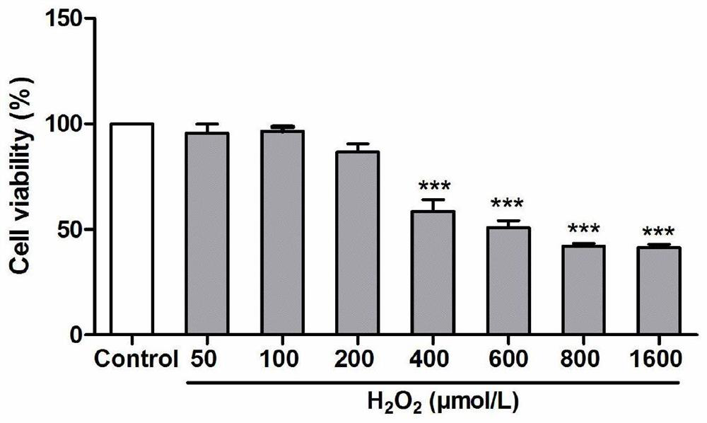 A method for extracting anti-oxidant components from Ranunculus yam