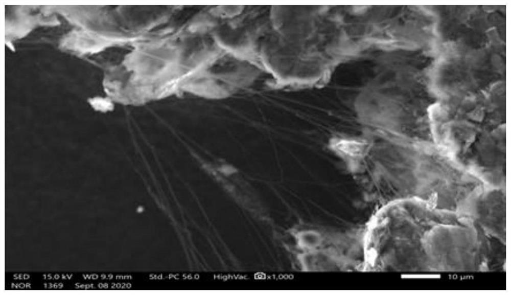 Preparation process of lithium battery electrode plate