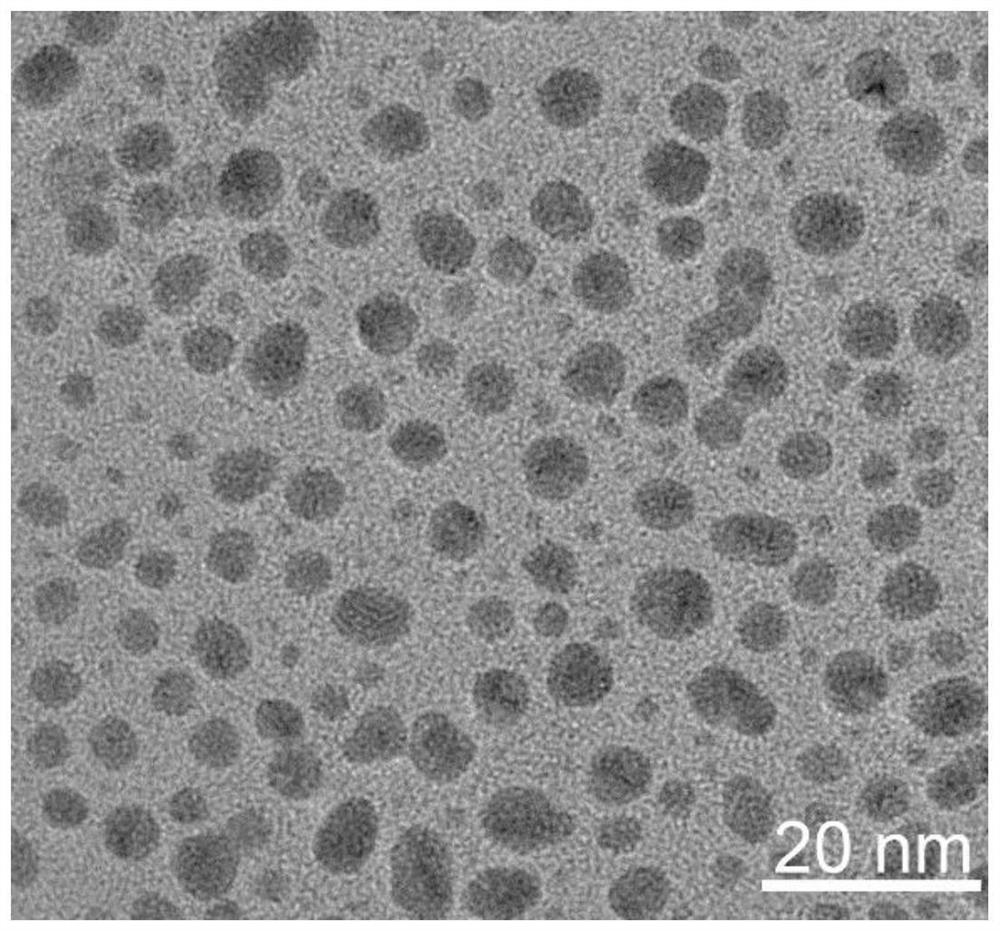 Preparation method and application of fluorogold nano-cluster coupled Napsin A compound