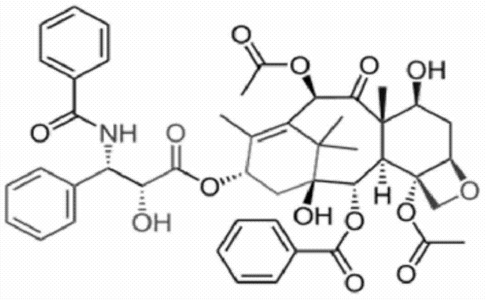 Medicinal composition of paclitaxel