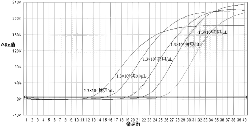 Kit used for pig Delta coronavirus detection and detection method thereof