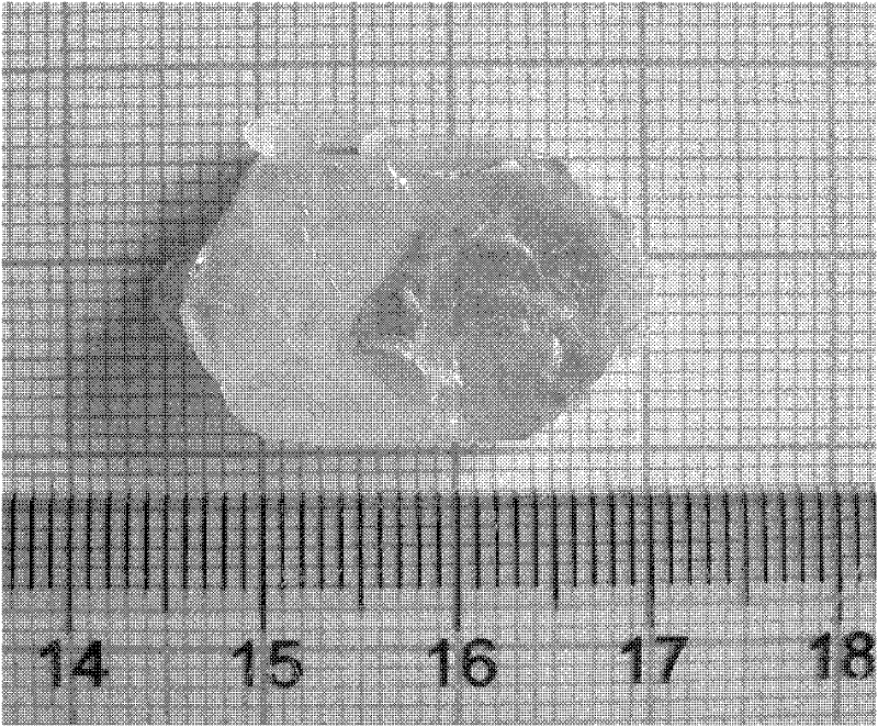 Method for growing large-size vanadium sodium iodate crystal by using hydrothermal method