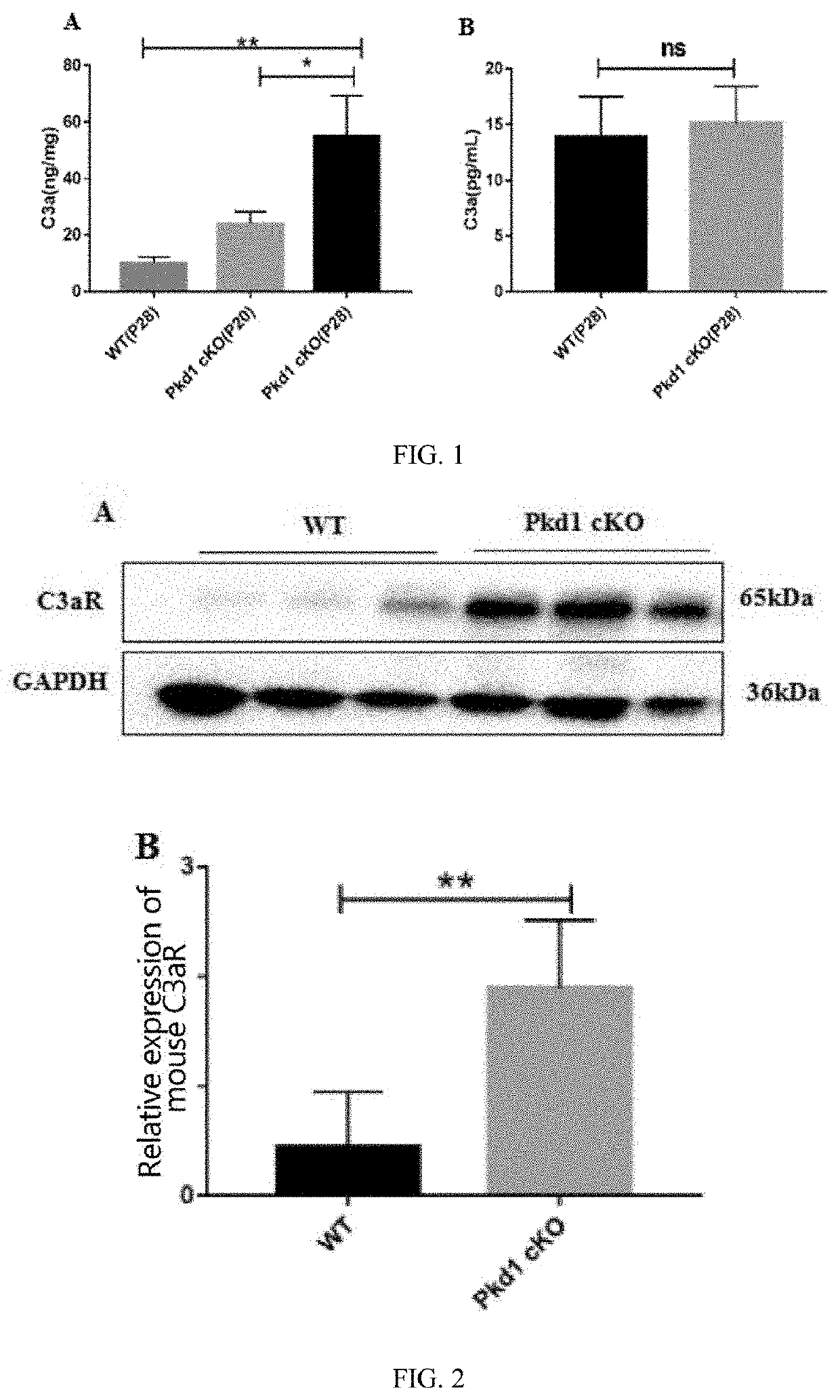 USE OF C3aR IN PREPARING DRUG FOR PREVENTING OR TREATING POLYCYSTIC KIDNEY DISEASE