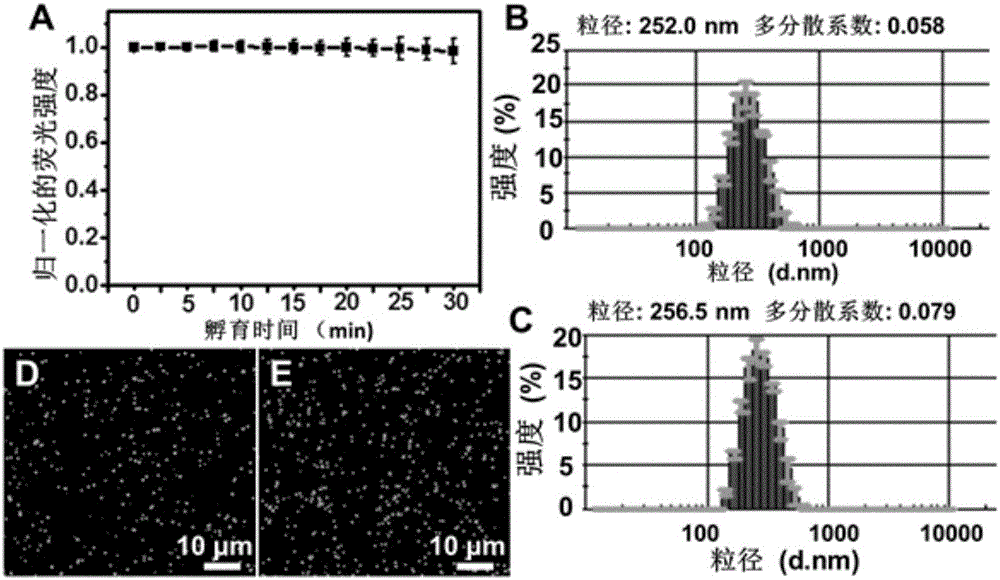 Method for synchronously capturing and identifying circulating tumor cells