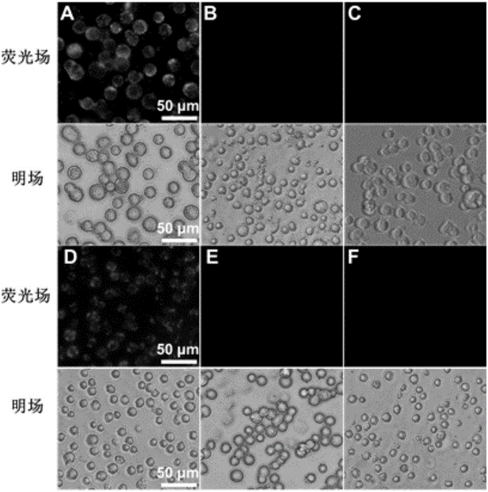 Method for synchronously capturing and identifying circulating tumor cells