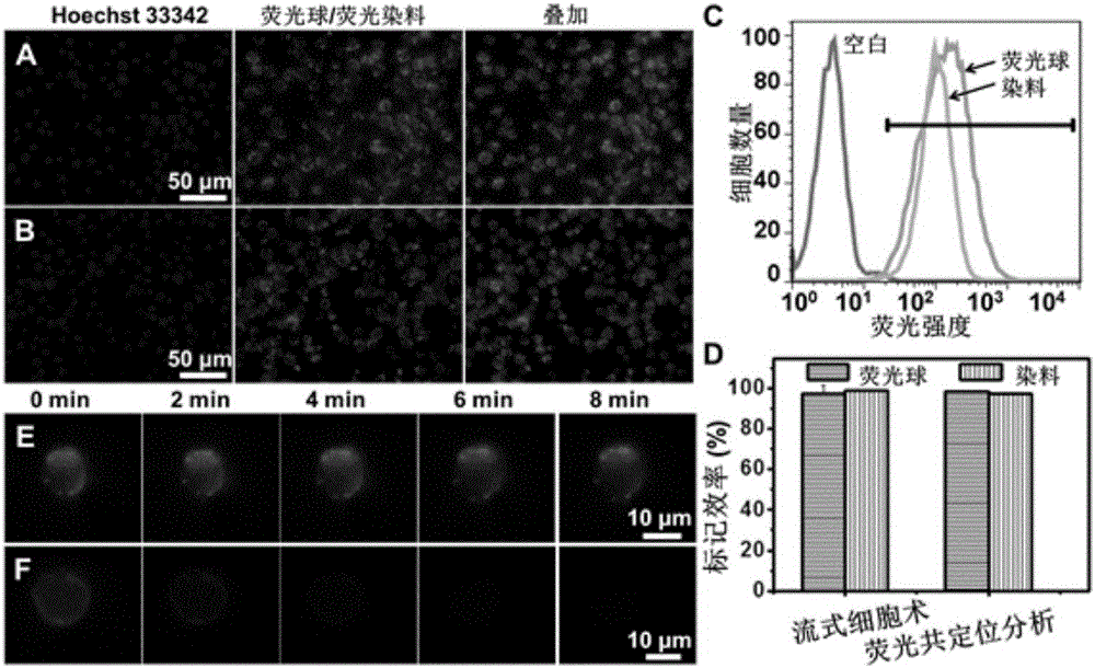 Method for synchronously capturing and identifying circulating tumor cells