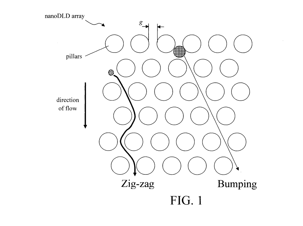 Phosphoprotein Detection Using a Chip-Based Pillar Array