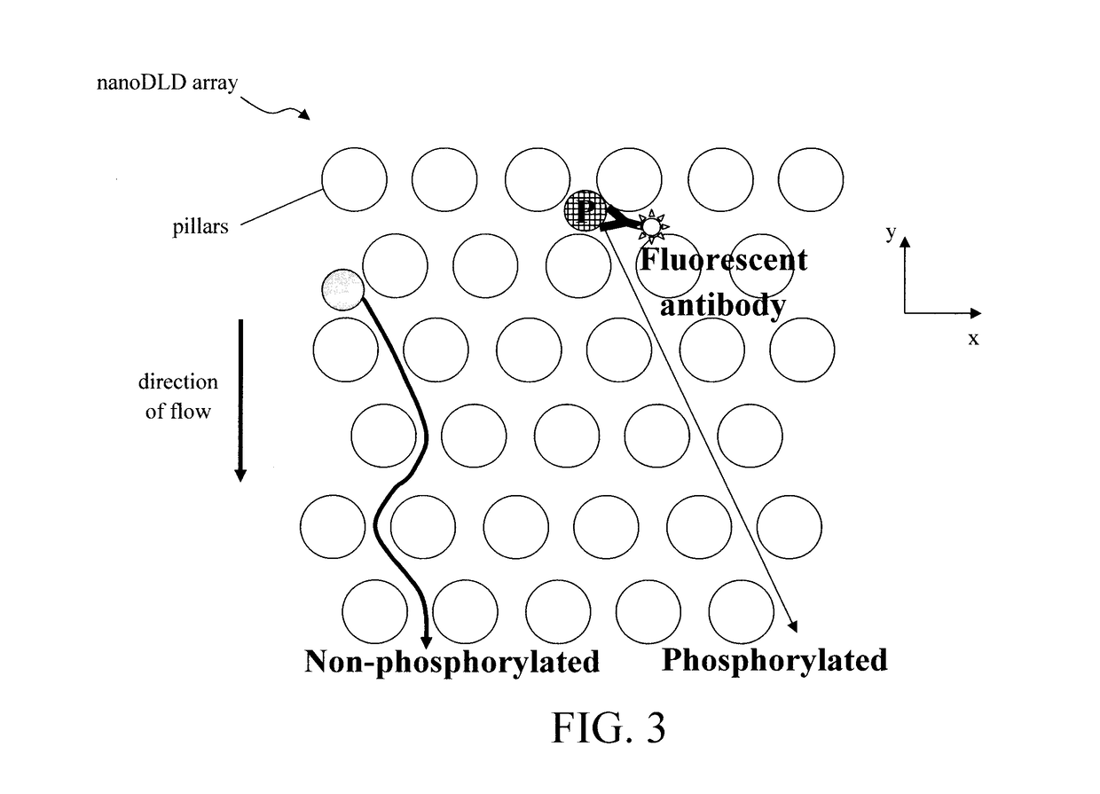 Phosphoprotein Detection Using a Chip-Based Pillar Array