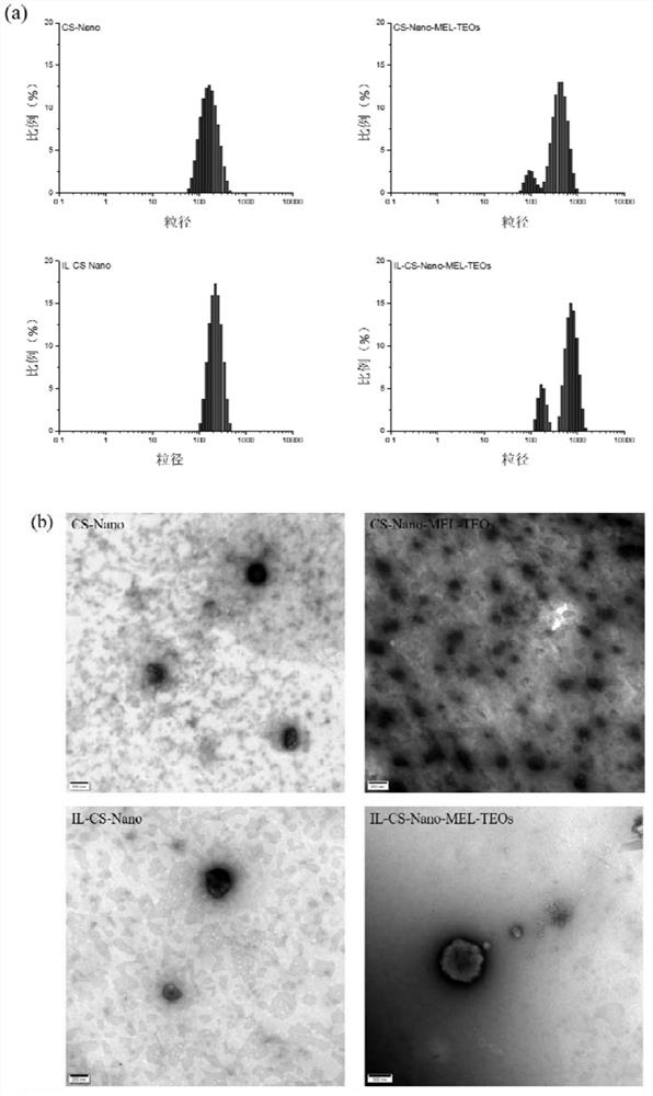 A plant essential oil shell pool nano -microcapsule and its preparation methods and applications