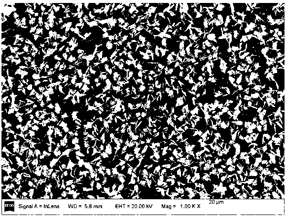 Nano-array structured catalyst used for Fischer-Tropsch synthesis and preparation method and application thereof