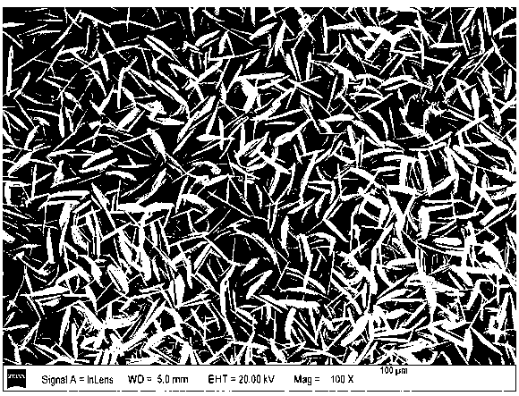 Nano-array structured catalyst used for Fischer-Tropsch synthesis and preparation method and application thereof