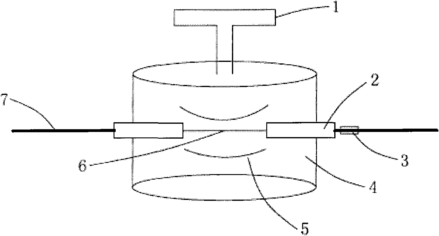 Interface unit containing capillary electrophoresis of hollow-fiber membrane and chemoluminescence combination