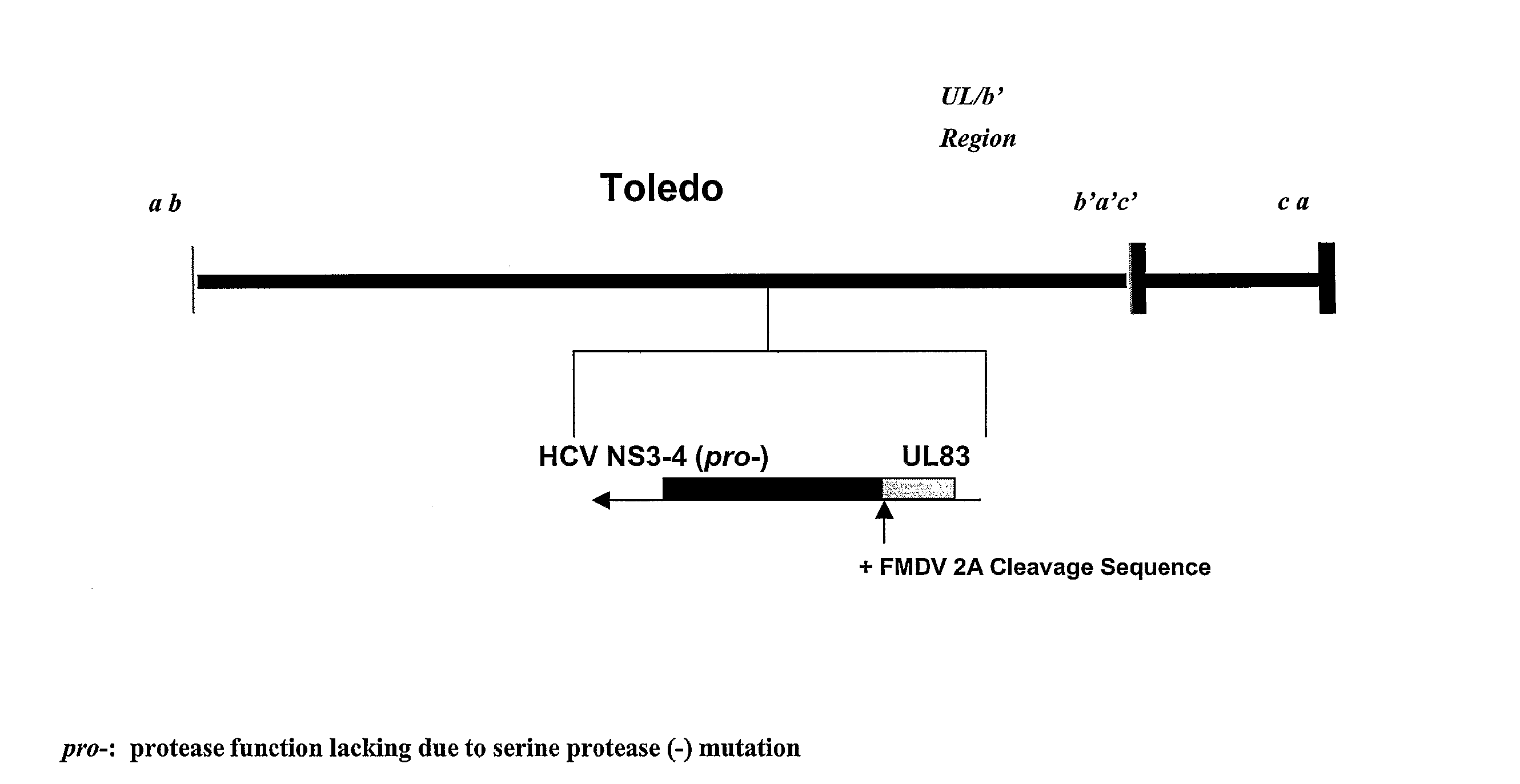 Recombinant Human Cytomegalovirus And Vaccines Comprising Heterologous Antigens