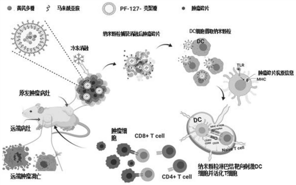 Stimuli-responsive nano material and application thereof in preparation of in-situ tumor vaccine