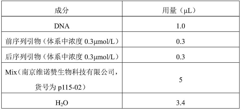 SSR (Simple Sequence Repeat) molecular marker for genetic diversity analysis of clematis nepalensis and application of SSR molecular marker