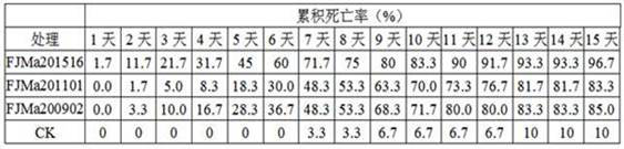 A strain of Metarhizium anisopliae with high pathogenicity to larvae of the blue-footed moth and its application