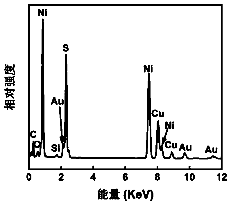 Au/NiSx eggshell-structured nanoparticles and preparation method thereof